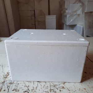 box styrofoam benur